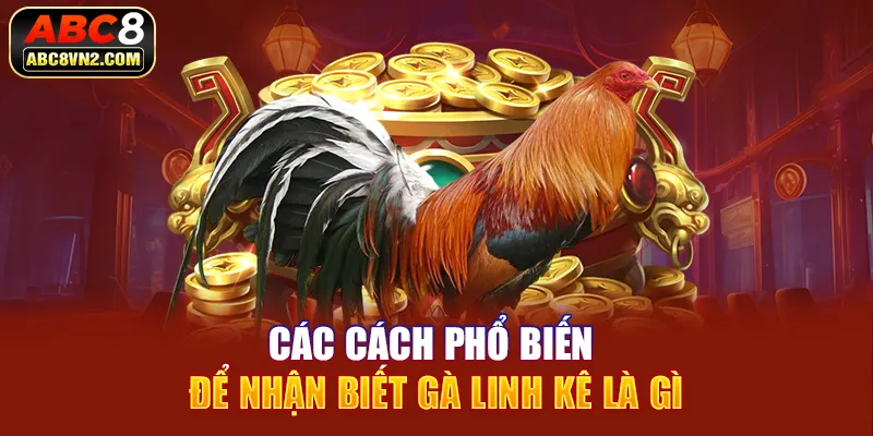 Các cách phổ biến để nhận biết gà linh kê là gì