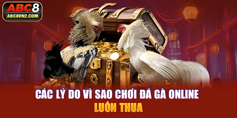 Các lý do vì sao chơi đá gà online luôn thua