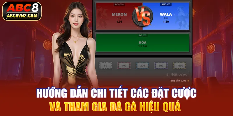 Hướng dẫn chi tiết các đặt cược và tham gia sảnh đá gà ABC8