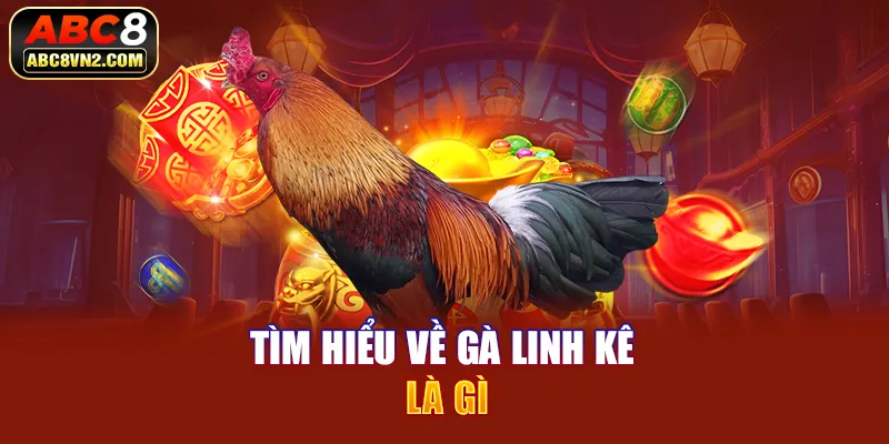 Tìm hiểu về gà linh kê là gì